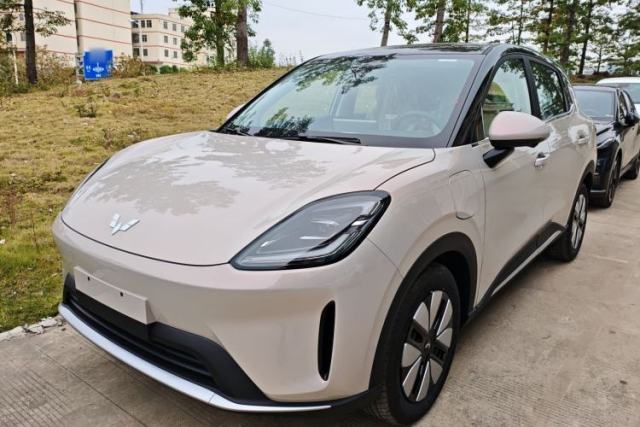 Used Wuling Bingo S 2025 Model 325km Deluxe Edition
