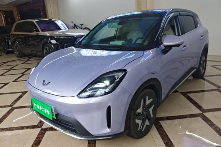 Wuling Bingo S 2025 Model 430km Flagship Edition
