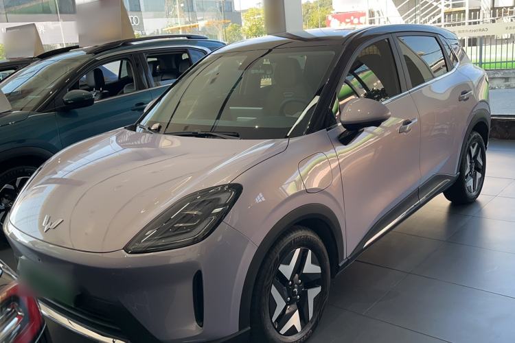 Wuling Bingo S 2025 Model 430km Flagship Edition