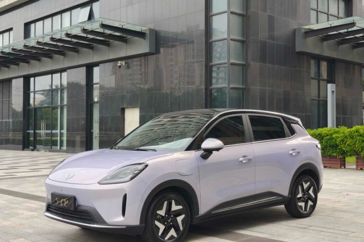 Wuling Bingo S 2025 Model 325km Flagship Edition