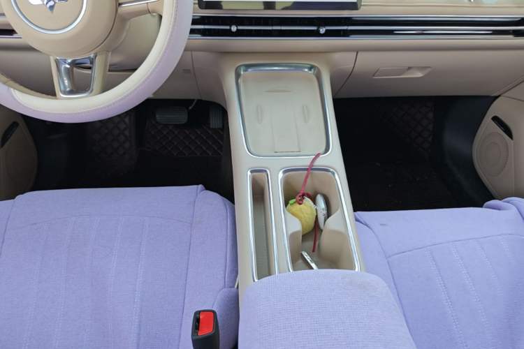 Used Wuling Bingo S 2025 Model 430km Flagship Edition Gear Lever