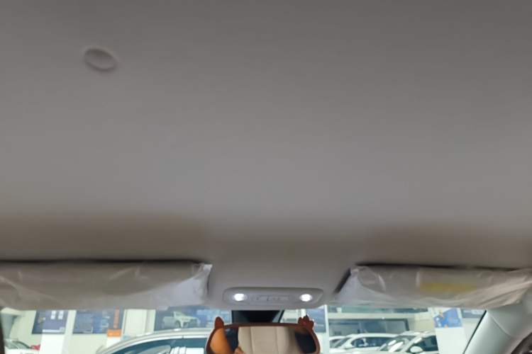 Used Wuling Bingo S 2025 Model 325km Deluxe Edition Headliner