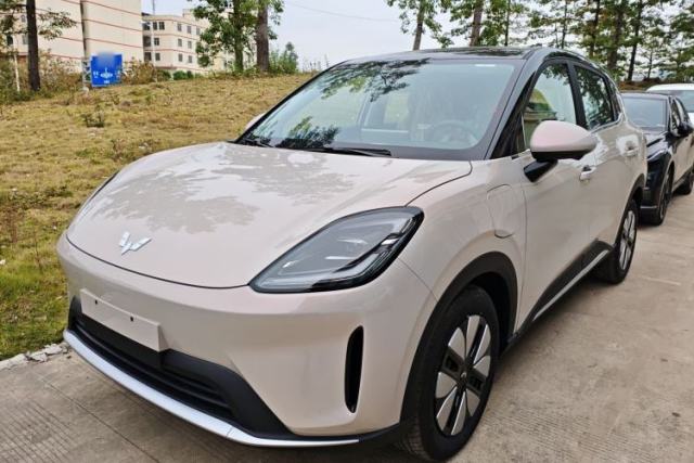 Used Wuling Bingo S 2025 Model 325km Deluxe Edition