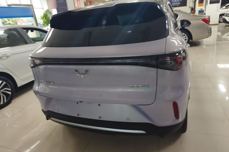 Used Wuling Bingo S 2025 Model 325km Deluxe Edition Rear