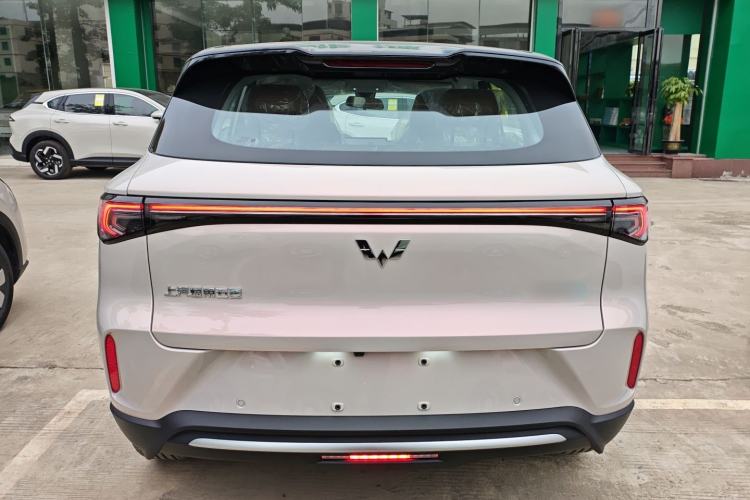 Used Wuling Bingo S 2025 Model 325km Deluxe Edition Rear