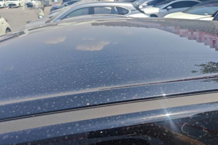 Used Wuling Bingo S 2025 Model 325km Deluxe Edition Roof