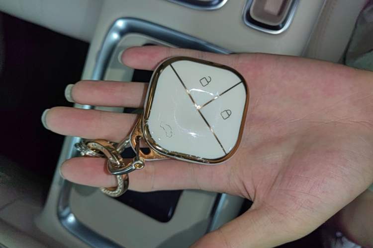 Used Wuling Bingo S 2025 Model 430km Deluxe Edition Vehicle Key