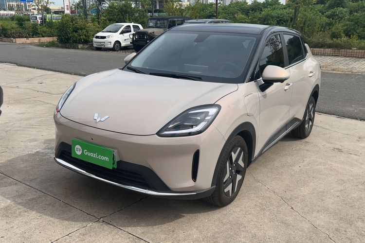 Wuling Bingo S 2025 Model 430km Flagship Edition