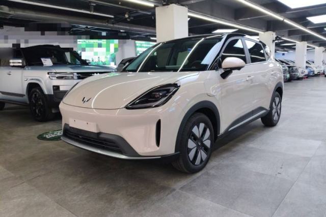 Used Wuling Bingo S 2025 Model 325km Deluxe Edition