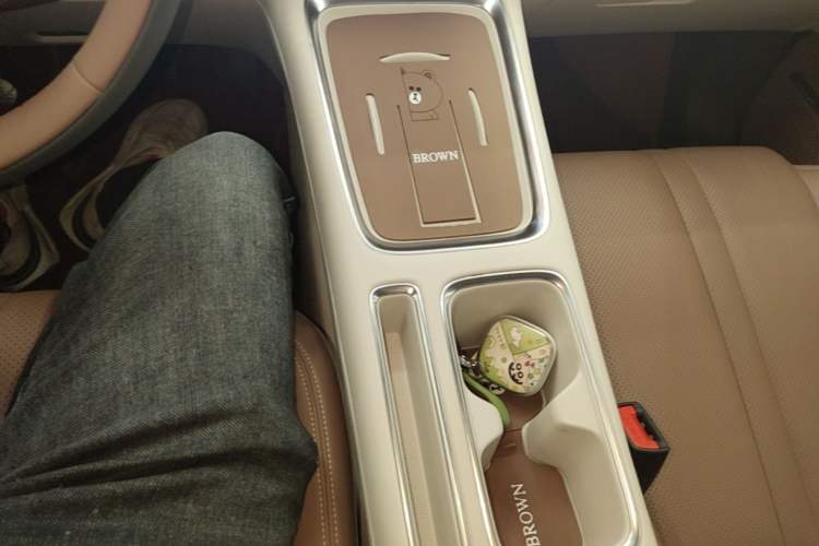 Used Wuling Bingo S 2025 Model 430km Flagship Edition Gear Lever