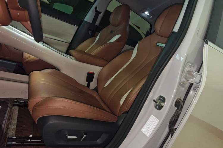 Used Wuling Bingo S 2025 Model 430km Flagship Edition Left Front Seat