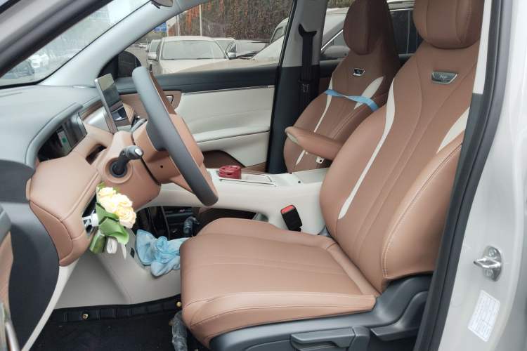 Used Wuling Bingo S 2025 Model 325km Deluxe Edition Left Front Seat