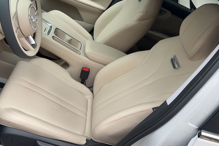 Used Wuling Bingo S 2025 Model 325km Deluxe Edition Left Front Seat