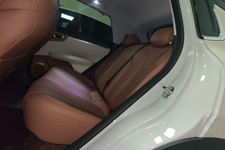 Used Wuling Bingo S 2025 Model 430km Flagship Edition Left Rear Seat