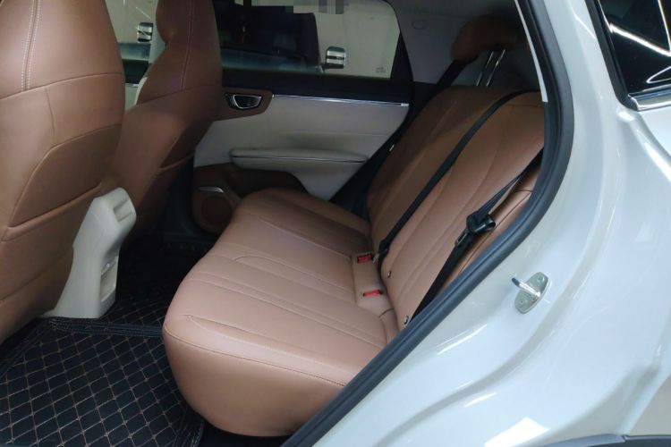 Used Wuling Bingo S 2025 Model 325km Deluxe Edition Left Rear Seat