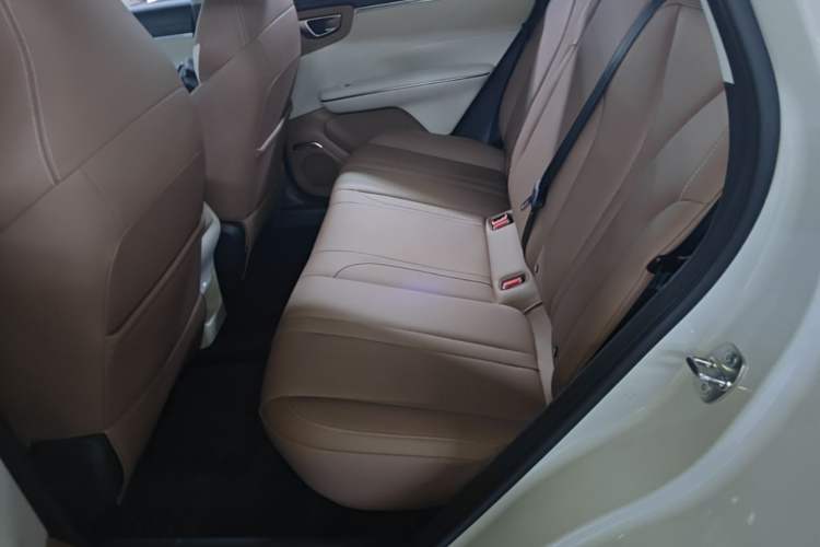 Used Wuling Bingo S 2025 Model 430km Flagship Edition Left Rear Seat