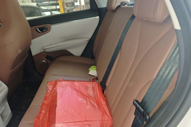 Used Wuling Bingo S 2025 Model 325km Deluxe Edition Left Rear Seat