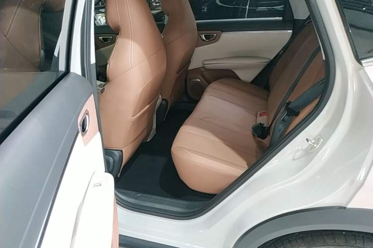 Used Wuling Bingo S 2025 Model 325km Deluxe Edition Left Rear Seat