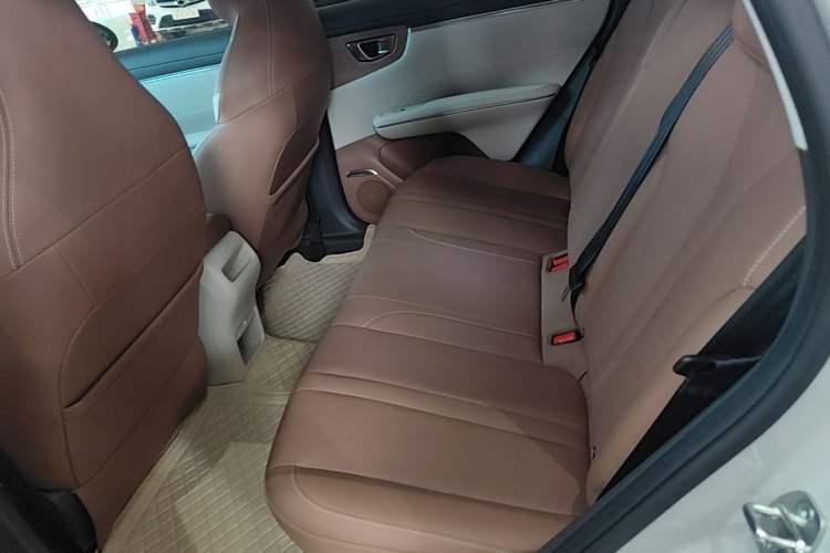 Used Wuling Bingo S 2025 Model 430km Flagship Edition Left Rear Seat