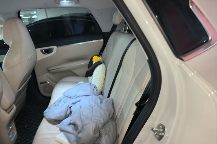 Used Wuling Bingo S 2025 Model 325km Flagship Edition Left Rear Seat