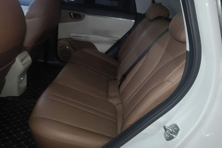Used Wuling Bingo S 2025 Model 430km Flagship Edition Left Rear Seat