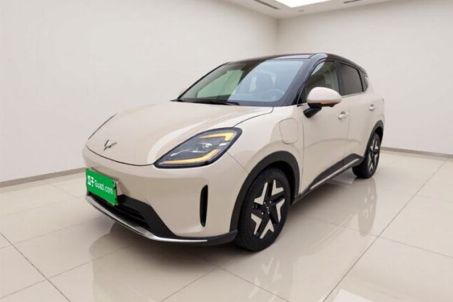 Used Wuling Bingo S 2025 Model 430km Flagship Edition