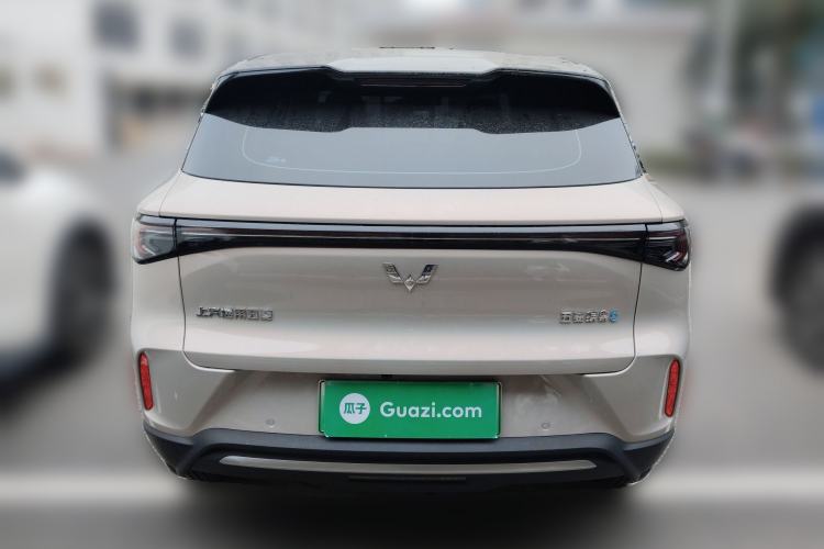 Used Wuling Bingo S 2025 Model 325km Deluxe Edition Rear