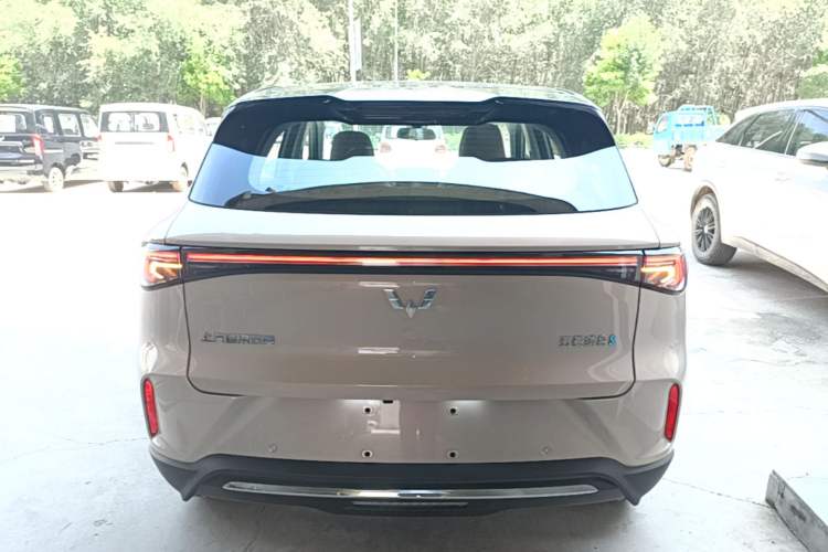 Used Wuling Bingo S 2025 Model 325km Flagship Edition Rear