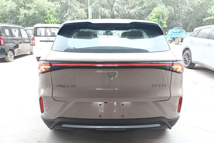 Used Wuling Bingo S 2025 Model 325km Deluxe Edition Rear