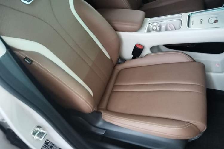 Used Wuling Bingo S 2025 Model 325km Deluxe Edition Right Front Seat