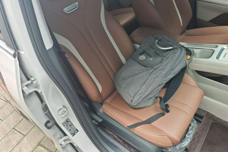 Used Wuling Bingo S 2025 Model 430km Flagship Edition Right Front Seat