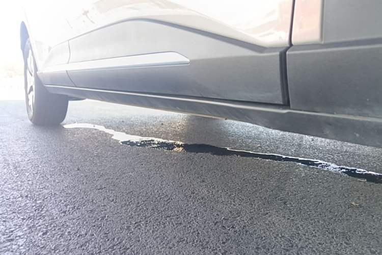 Used Wuling Bingo S 2025 Model 430km Flagship Edition Right Side Sill