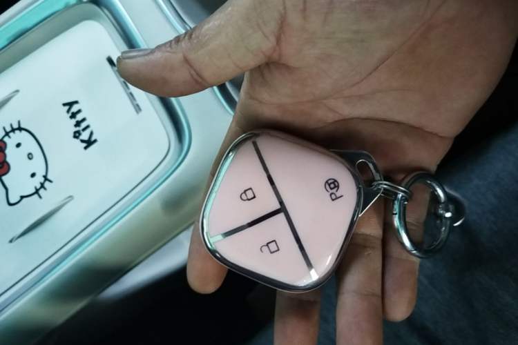 Used Wuling Bingo S 2025 Model 325km Deluxe Edition Vehicle Key