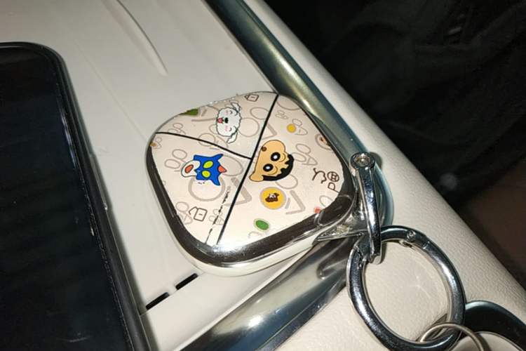 Used Wuling Bingo S 2025 Model 325km Deluxe Edition Vehicle Key
