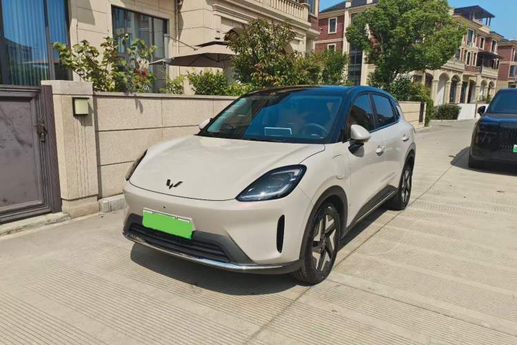 Wuling Bingo S 2025 Model 325km Flagship Edition