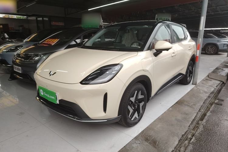 Wuling Bingo S 2025 Model 430km Flagship Edition