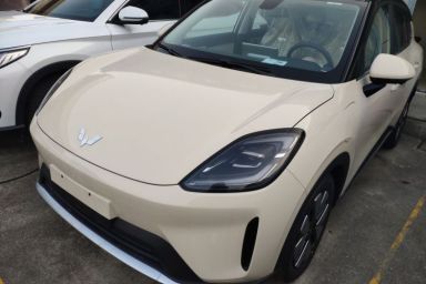 Used Wuling Bingo S 2025 Model 430km Deluxe Edition