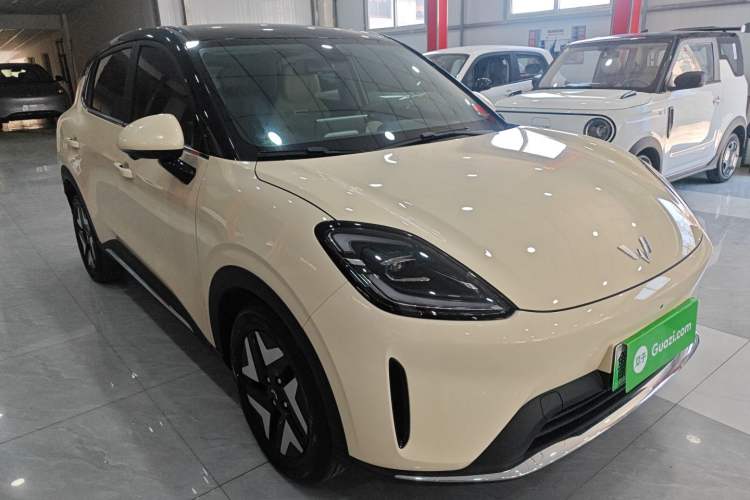 Used Wuling Bingo S 2025 Model 430km Flagship Edition Exterior 1