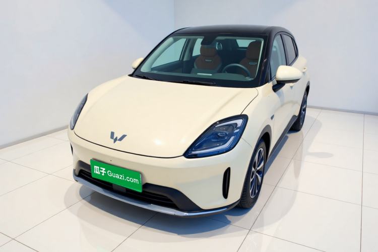 Wuling Bingo S 2025 Model 430km Flagship Edition