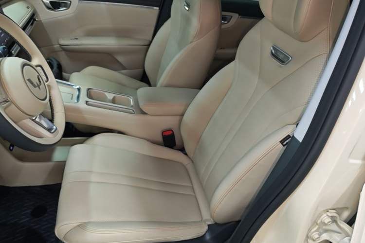 Used Wuling Bingo S 2025 Model 325km Deluxe Edition Left Front Seat
