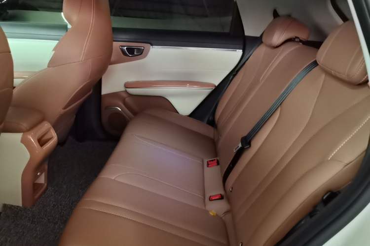 Used Wuling Bingo S 2025 Model 325km Deluxe Edition Left Rear Seat