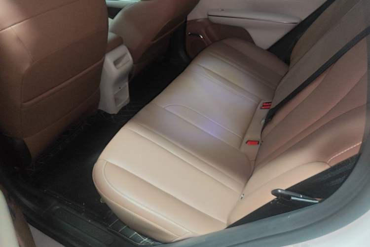 Used Wuling Bingo S 2025 Model 430km Flagship Edition Left Rear Seat