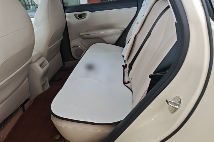 Used Wuling Bingo S 2025 Model 325km Flagship Edition Left Rear Seat