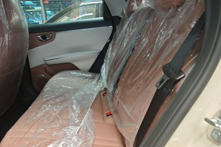 Used Wuling Bingo S 2025 Model 325km Deluxe Edition Left Rear Seat