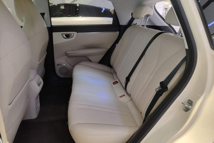 Used Wuling Bingo S 2025 Model 430km Flagship Edition Left Rear Seat