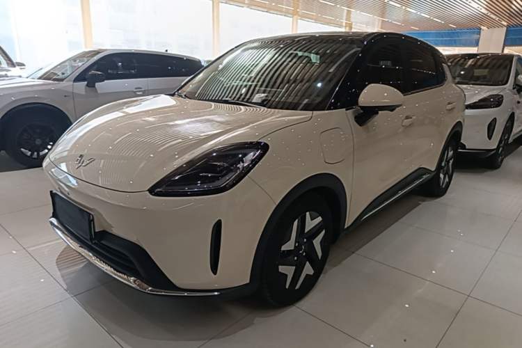 Wuling Bingo S 2025 Model 430km Flagship Edition