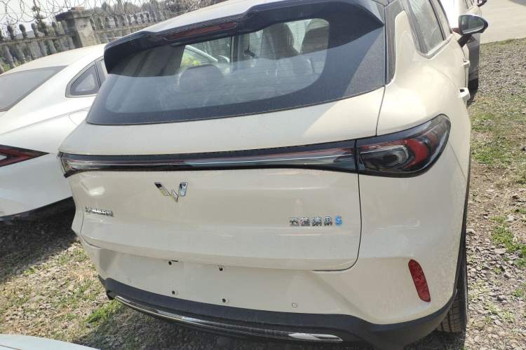 Used Wuling Bingo S 2025 Model 325km Flagship Edition Rear