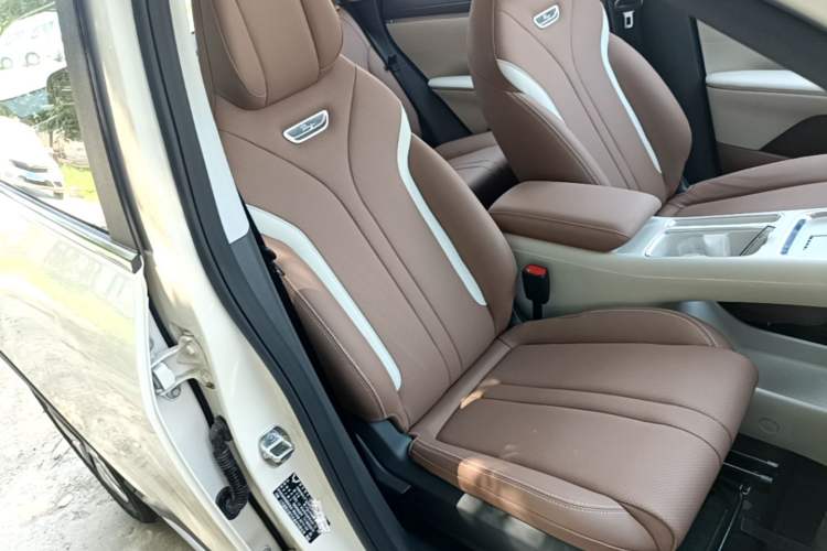 Used Wuling Bingo S 2025 Model 325km Deluxe Edition Right Front Seat