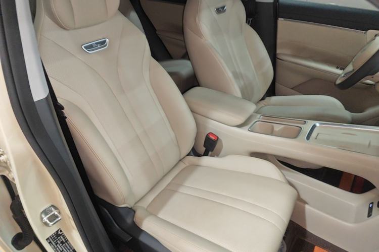 Used Wuling Bingo S 2025 Model 430km Flagship Edition Right Front Seat