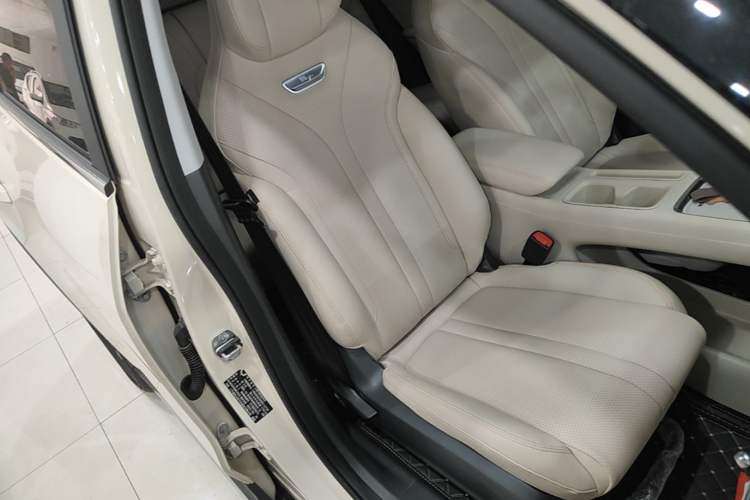 Used Wuling Bingo S 2025 Model 430km Flagship Edition Right Front Seat